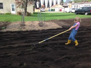 Lily and her rake